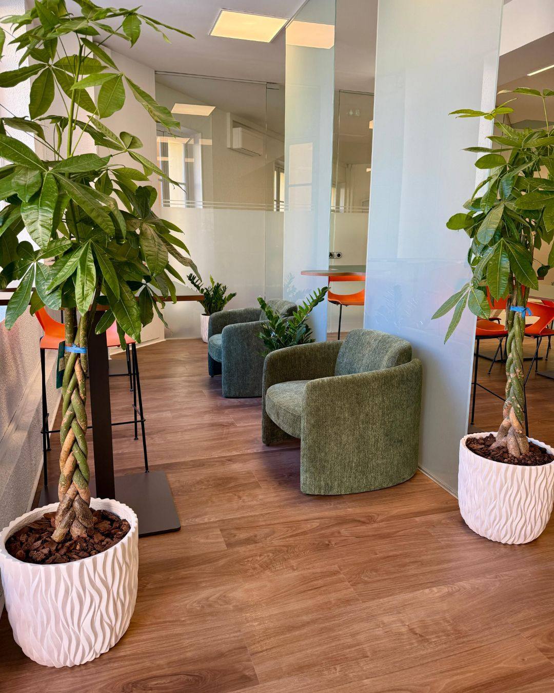 Salon Puzzle avec fauteuils vert mousse et plantes