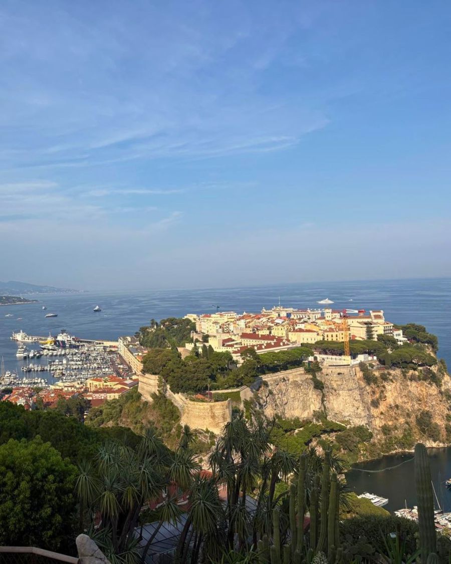 Le Rocher de Monaco vu de la terrasse